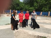 Превью фото № 182157