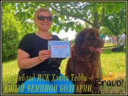 Превью фото № 182202