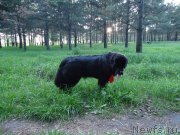 Превью фото № 182273