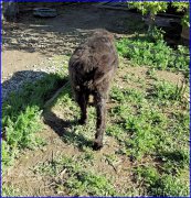 Превью фото № 182342