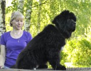 Превью фото № 182353