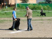 Превью фото № 182359