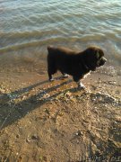 Превью фото № 182412