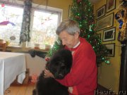 Превью фото № 182433