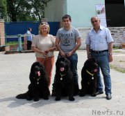 Превью фото № 182576