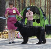 Превью фото № 182702