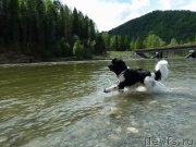 Превью фото № 182757