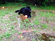 Превью фото № 182797