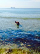 Превью фото № 182798