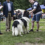 Превью фото № 182918