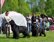 Превью фото № 182969