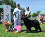 Превью фото № 182972