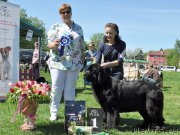 Превью фото № 182981