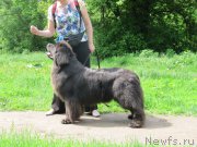 Превью фото № 183012