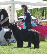 Превью фото № 183023