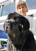 Превью фото № 183031