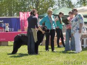 Превью фото № 183037