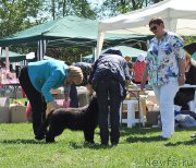 Превью фото № 183043