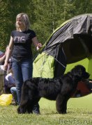 Превью фото № 183064