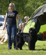 Превью фото № 183065