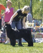 Превью фото № 183069