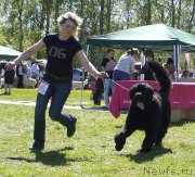 Превью фото № 183073