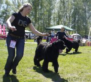 Превью фото № 183074