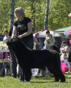 Превью фото № 183076