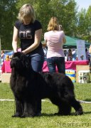 Превью фото № 183108