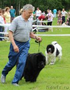 Превью фото № 183158