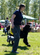 Превью фото № 183170