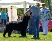 Превью фото № 183174