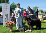 Превью фото № 183198