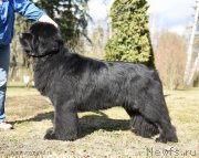 Превью фото № 183225