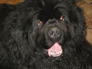 Превью фото № 183253