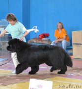 Превью фото № 183325