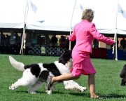 Превью фото № 183342