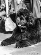 Превью фото № 183349