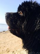 Превью фото № 183430