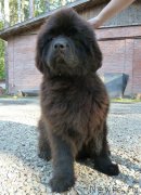 Превью фото № 183581