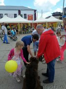 Превью фото № 183653