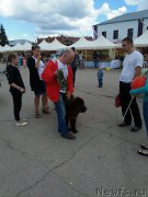 Превью фото № 183656