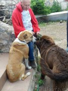 Превью фото № 183660