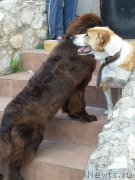 Превью фото № 183662