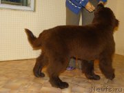 Превью фото № 183669