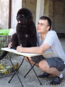 Превью фото № 183672