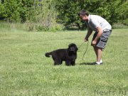 Превью фото № 183674