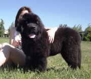 Превью фото № 183677