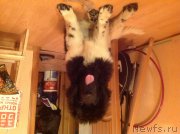 Превью фото № 183692