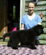 Превью фото № 183696